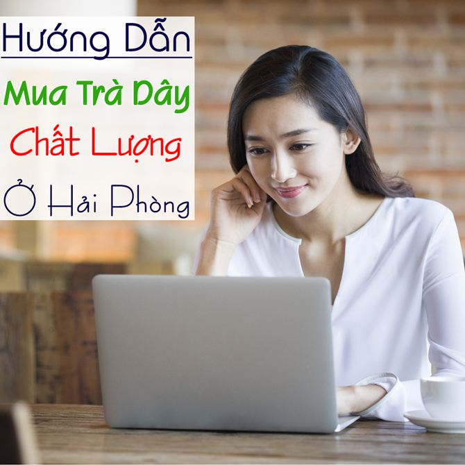 Mua Tra Day O Hai Phong
